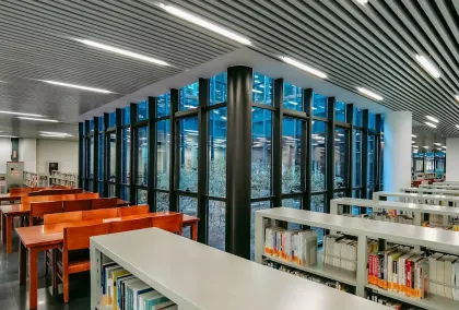 Kazino Lion Wins Mobilioji programa